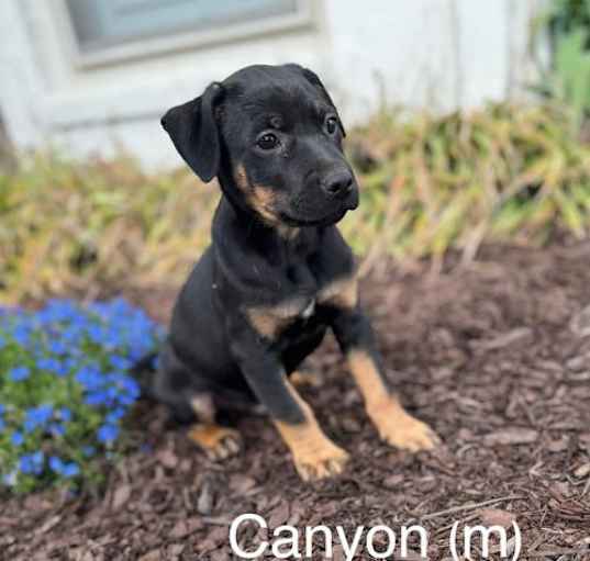 Photo of Canyon