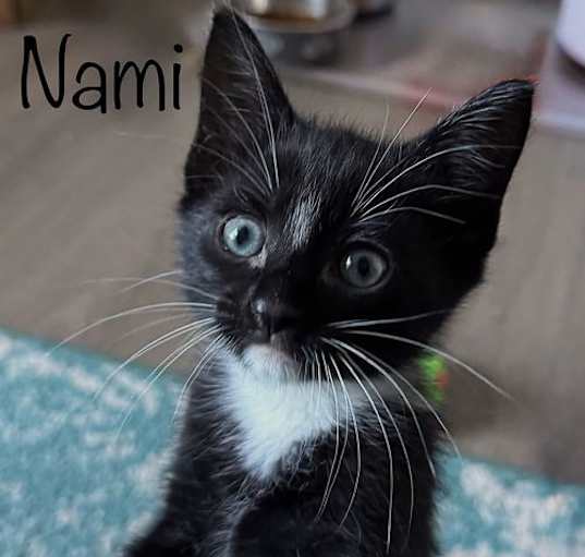 Photo of Nami