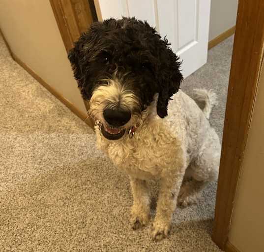 Photo of Lucy