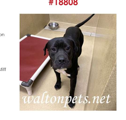 Photo of #18808