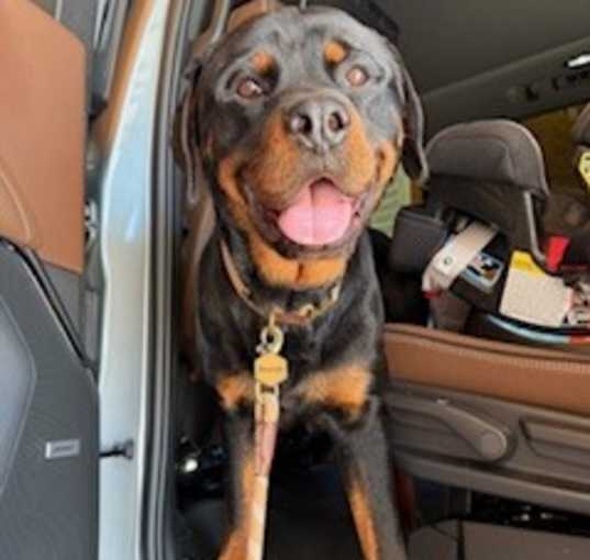 Photo of Deacon