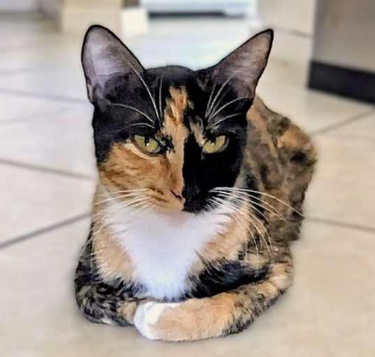 Photo of Michaela
