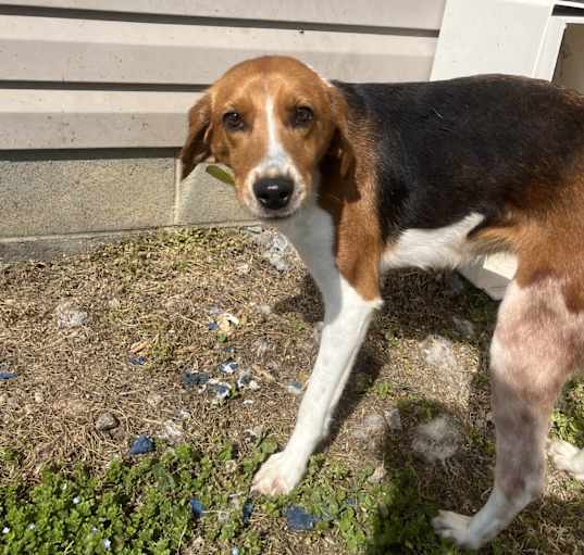 Photo of Maggie