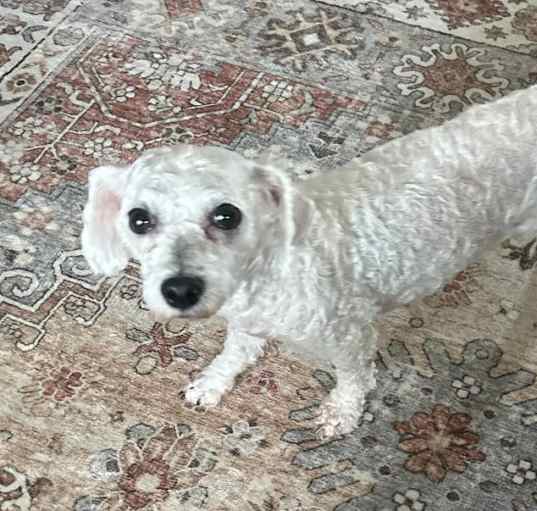 Photo of LucyLou