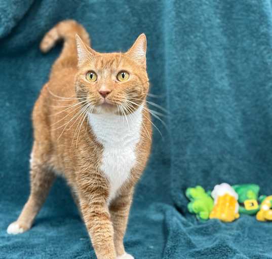 Photo of Farley