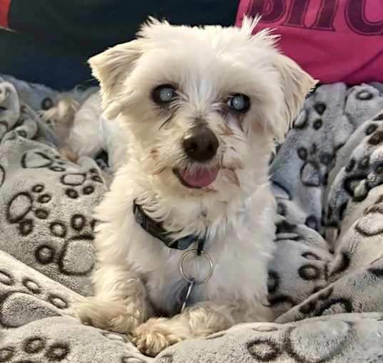 Photo of Oakley