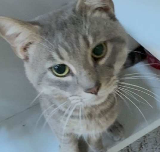 Photo of Oliver