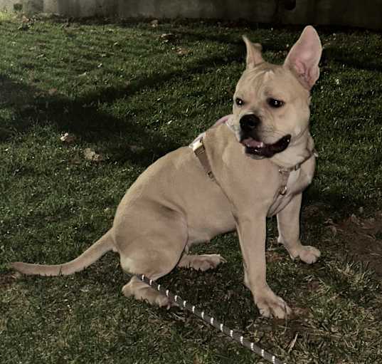 Photo of Ares