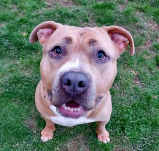 Photo of Maeve