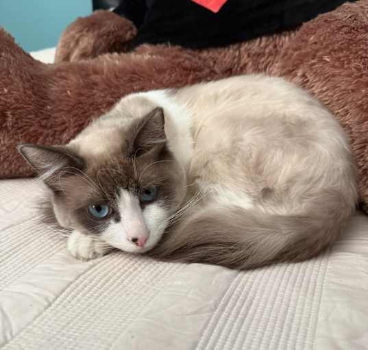 Photo of Leo