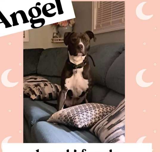 Photo of Angel