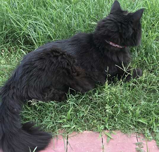 Photo of Starbuck