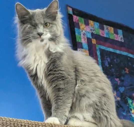 Photo of Glenda