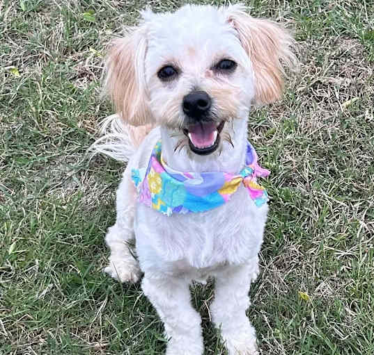Photo of ZOEY
