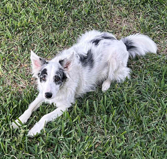 Photo of Gwen