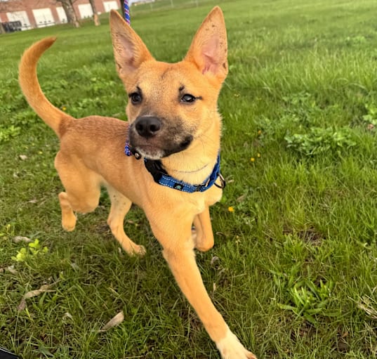 Photo of Murphy