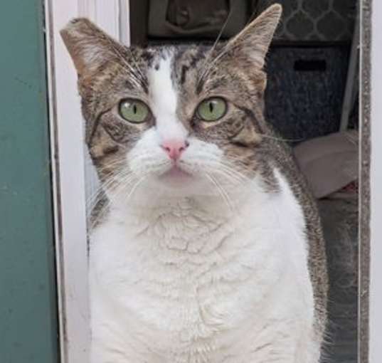 Photo of Candy