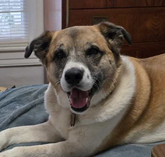 Photo of Mia