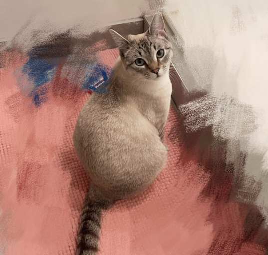 Photo of Lily