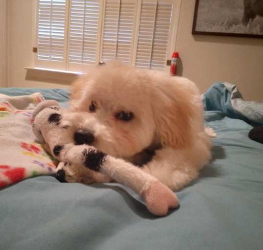 Photo of Kirby
