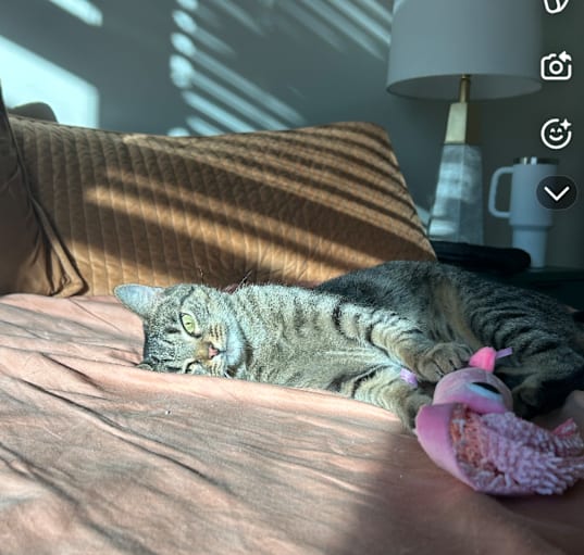 Photo of Diamond