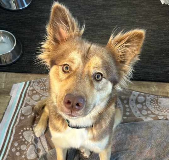 Photo of Jezebel