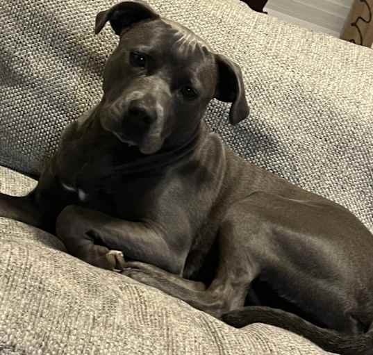 Photo of Gia