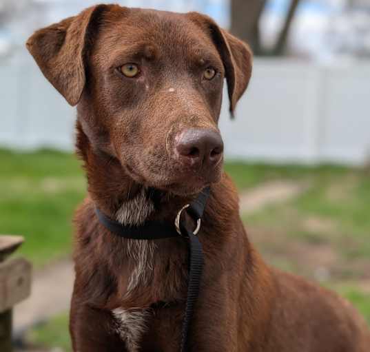 Photo of Sawyer