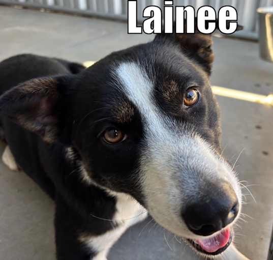 Photo of Lainee