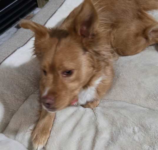 Photo of Lulu