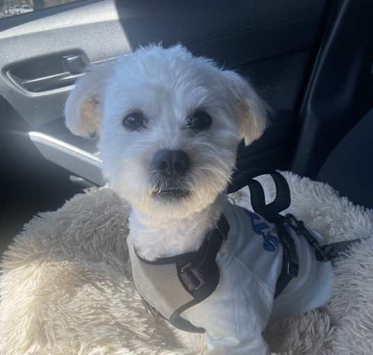 Photo of BENNY