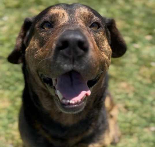 Photo of Carmelo