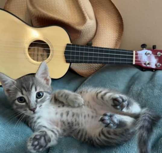 Photo of Benji
