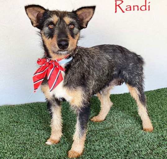 Photo of Randi