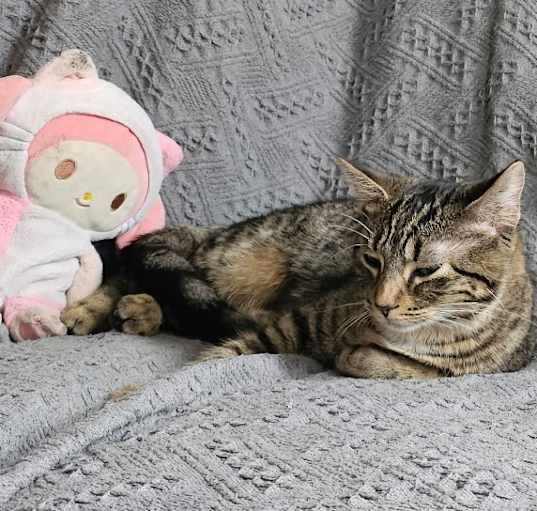 Photo of NYZ