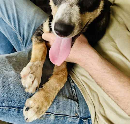 Photo of Sadie