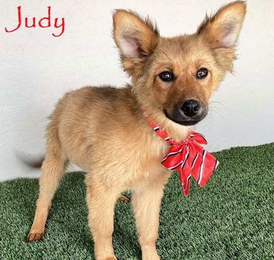 Photo of Judy