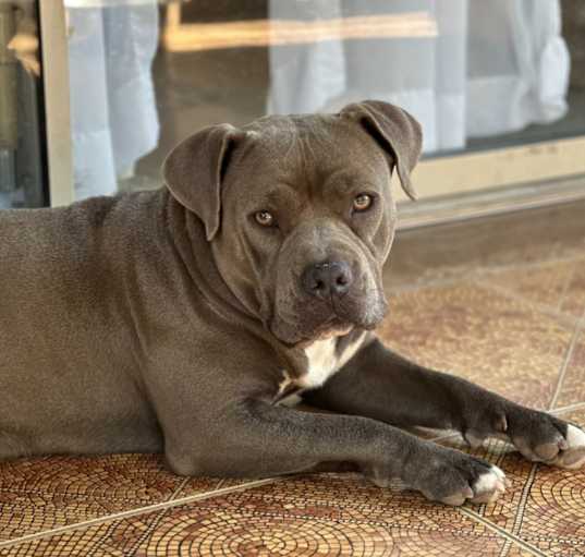 Photo of Lucy