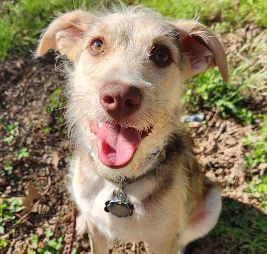 Photo of Cash