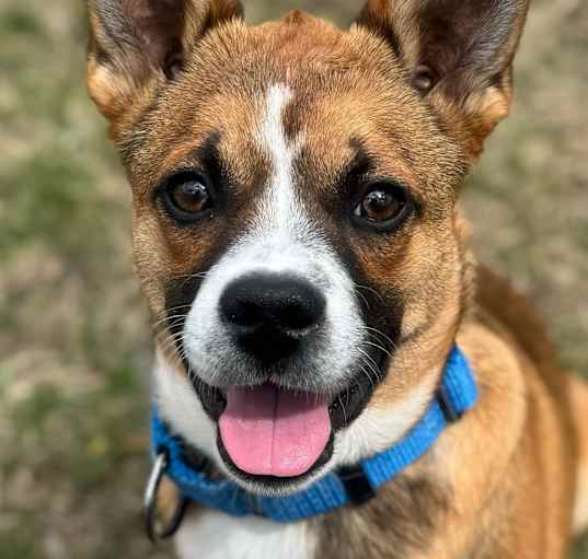 Photo of Clay