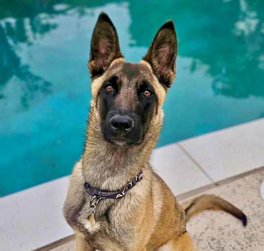 Photo of CIRCE
