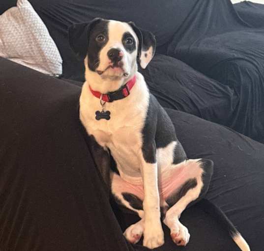 Photo of Kayn