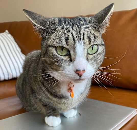 Photo of Mia