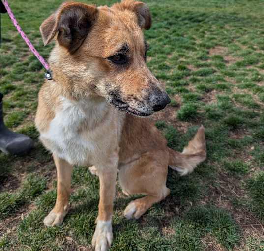 Photo of Dottie