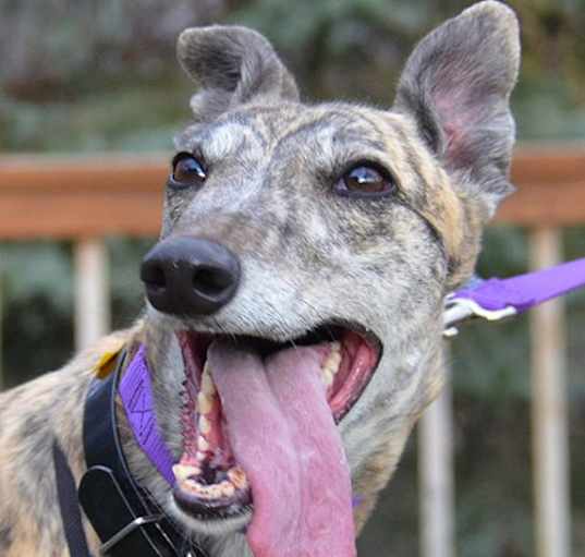Photo of Zoom