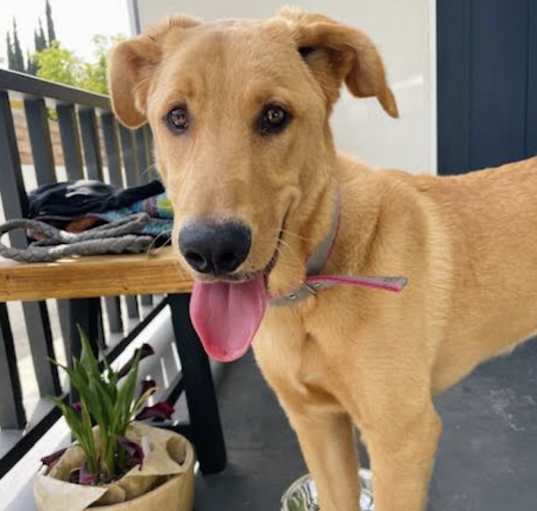 Photo of Sally