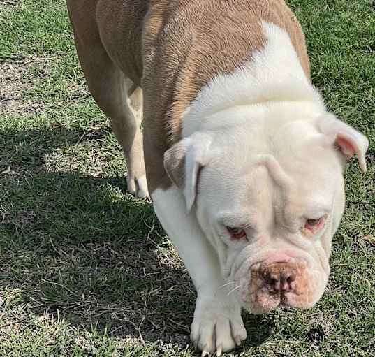 Photo of Mildred