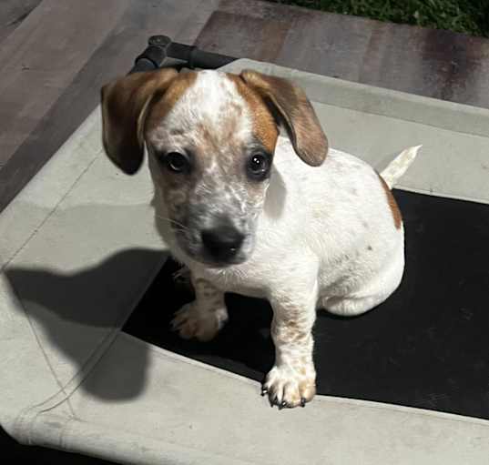 Photo of Willy