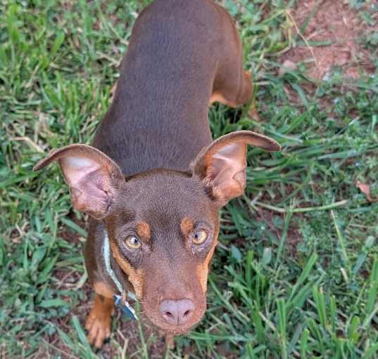Photo of Chiquita