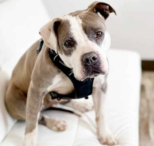 Photo of Kizzy